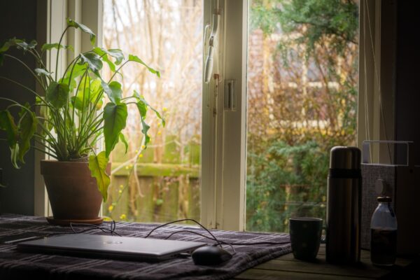 table with a laptop and a green plant in front of a large window