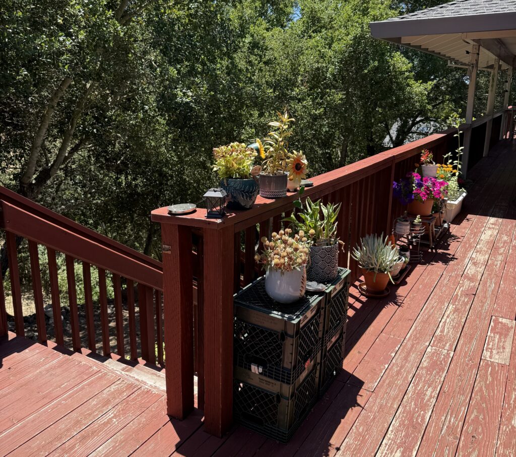 Life Rock East SR Women's Home Backyard 1